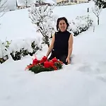 Elfi Lägenhet Gosau