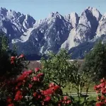 Lägenhet Elfi Gosau