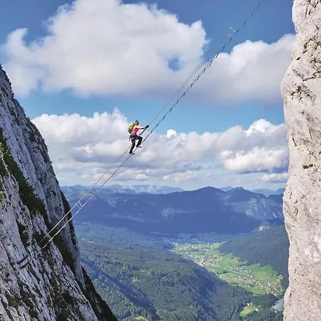 Elfi Appartement Gosau