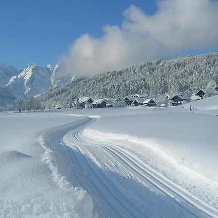 Appartement Elfi Gosau