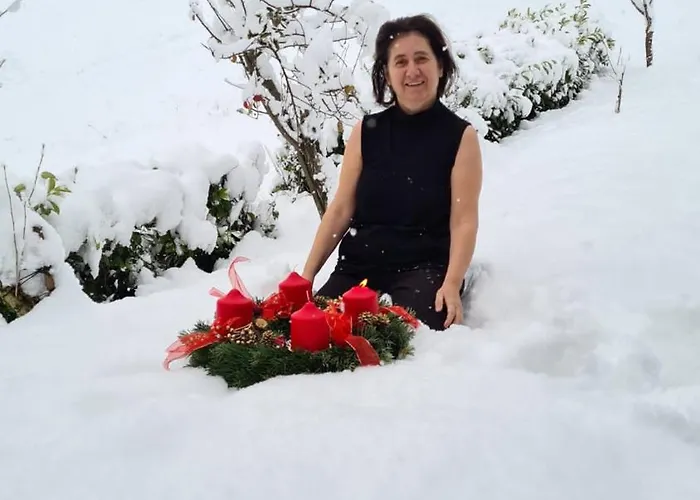 Elfi Appartement Gosau