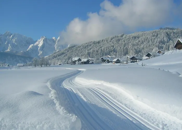 Appartement Elfi Gosau