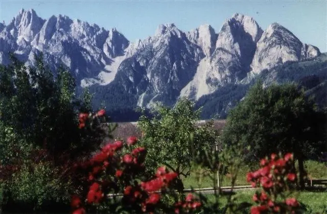 Appartement Elfi Gosau